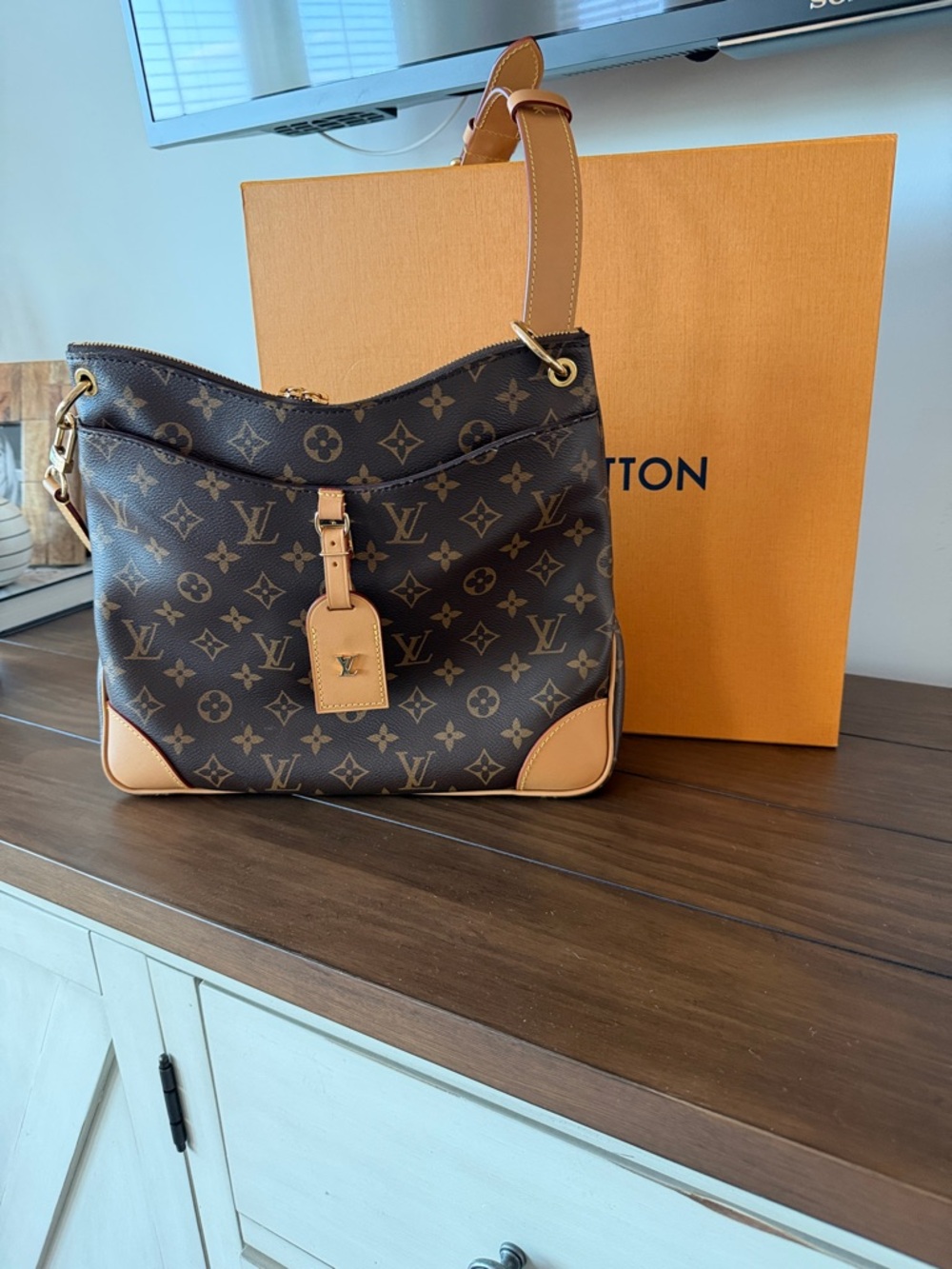 Louis Vuitton Odeon MM in Dark Brown with Tan Trim